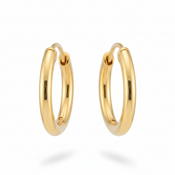 Earings v2